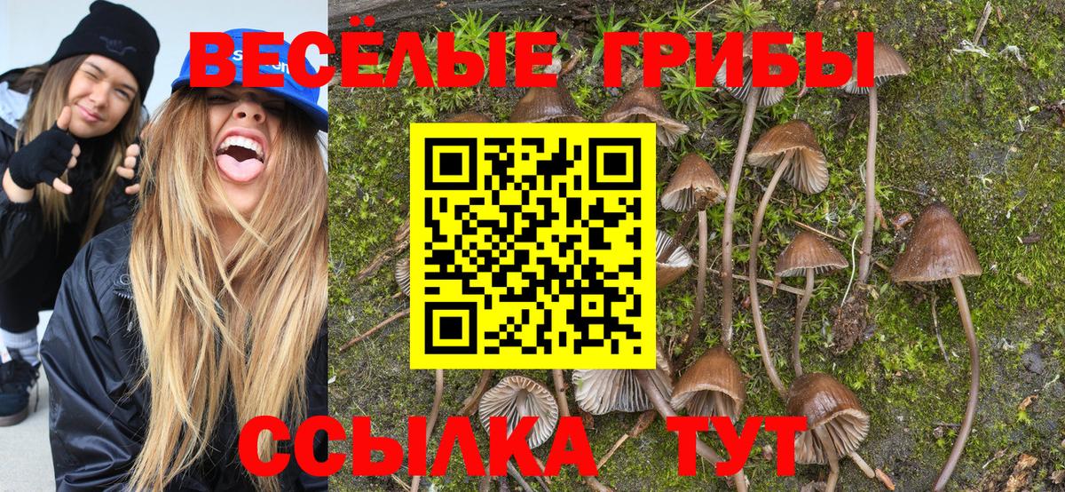 наркошоп  Галлюциногенные грибы MAGIC MUSHROOMS  Вход с VPN  Дербент 